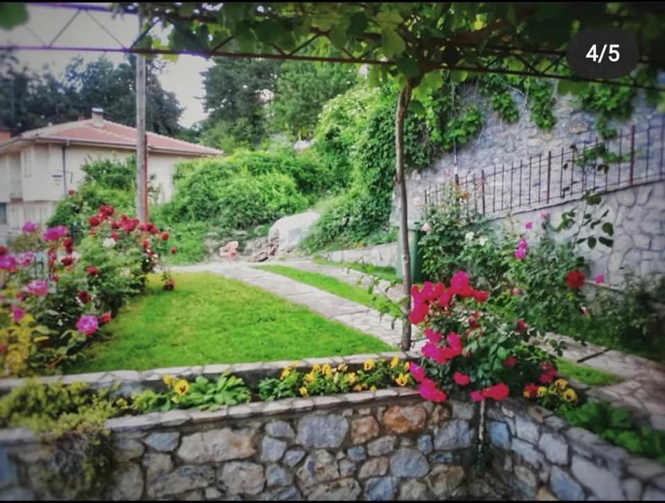Snegar Apartments Οχρίδα Εξωτερικό φωτογραφία