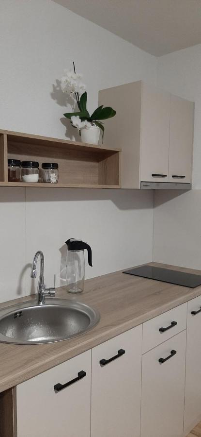 Snegar Apartments Οχρίδα Εξωτερικό φωτογραφία