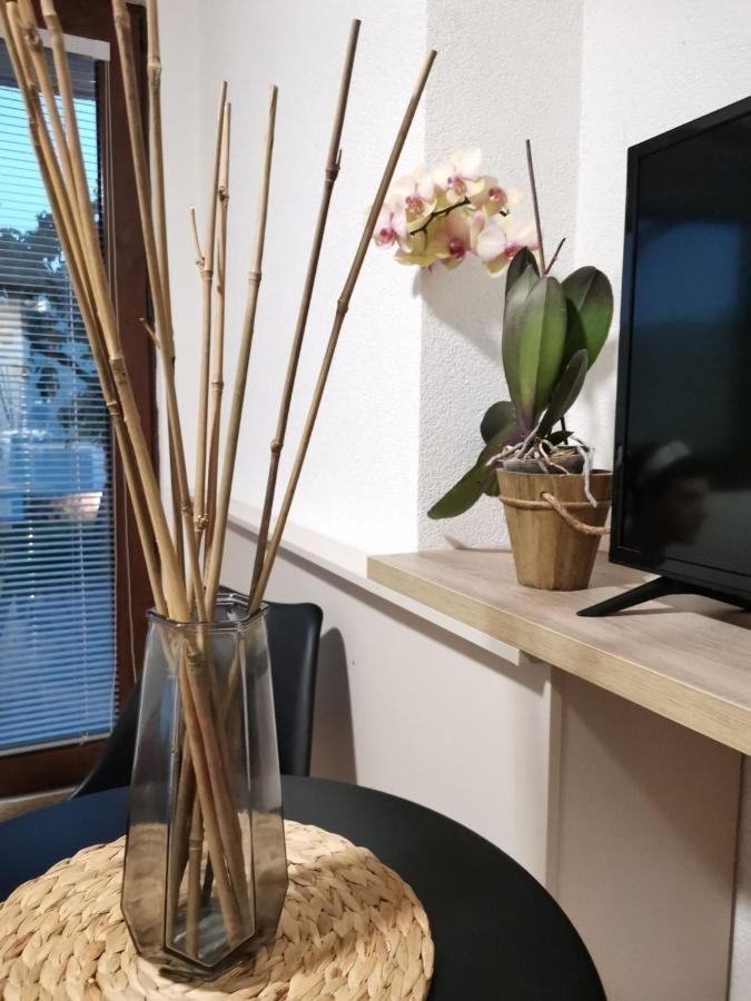 Snegar Apartments Οχρίδα Εξωτερικό φωτογραφία