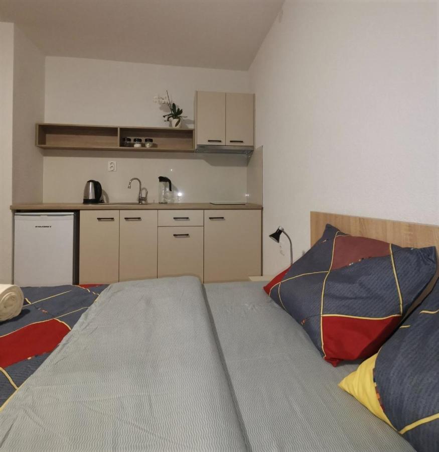 Snegar Apartments Οχρίδα Εξωτερικό φωτογραφία