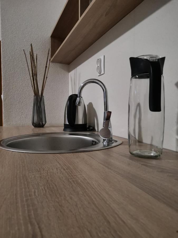 Snegar Apartments Οχρίδα Εξωτερικό φωτογραφία