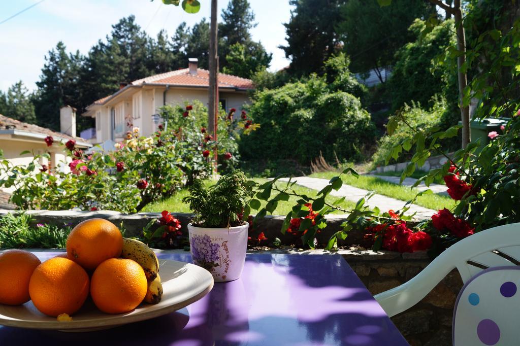 Snegar Apartments Οχρίδα Εξωτερικό φωτογραφία