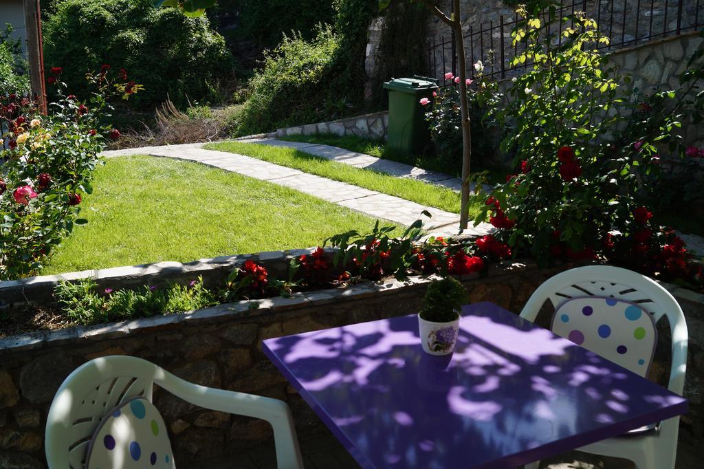 Snegar Apartments Οχρίδα Εξωτερικό φωτογραφία